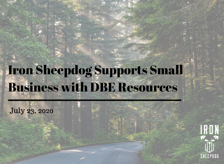 Iron Sheepdog Supports Small Business with DBE Resources